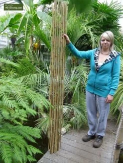 Bamboe Harmonica Trellis 90 X 180 Cm -Planten Winkel 1434014322