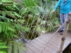 Bamboe Harmonica Trellis 90 X 180 Cm -Planten Winkel 1434014327