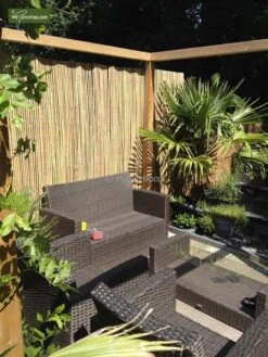 Bamboe Rolscherm Naturel 180 X 180 Cm [pallet] -Planten Winkel 1467040916