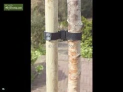 Bevestigingsmateriaal Voor Bomen 25 Meter Band -Planten Winkel 1488652386