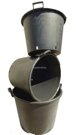 Extra Grote Palmpot - Ø 80 Cm / 160 Ltr [pallet] -Planten Winkel 1796132580