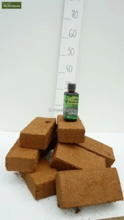 Palmbooster 300 Ml + 10 Coir Bricks 5 Palmbooster 300 Ml + 10 Coir Bricks -Planten Winkel 1895468754