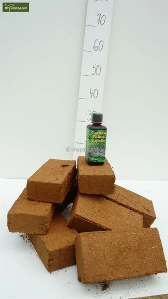 Palmbooster 300 Ml + 10 Coir Bricks 4 Palmbooster 300 Ml + 10 Coir Bricks - Afbeelding 2