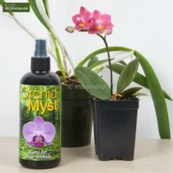Orchid Myst 750ml 7 Orchid Myst 750ml -Planten Winkel 1911145233