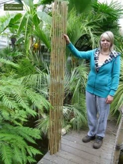 Bamboe Harmonica Trellis 180 X 180 Cm [pallet] -Planten Winkel 1927581879