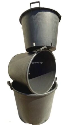 Extra Grote Palmpot - Ø 65 Cm / 110 Ltr [pallet] -Planten Winkel 1927583466