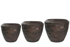 Cascara - Brons - D111H91 Cm [pallet] -Planten Winkel 1936763100