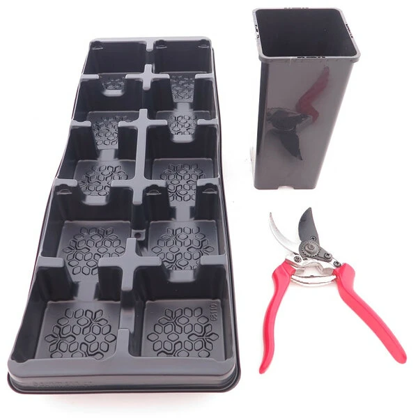 Diepe Vierkante Palmpot Rose Tray + 10 Potten - 2 Ltr.