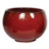 Glorious Bowl - Oxblood - D58H41 Cm [pallet] -Planten Winkel 1950113820