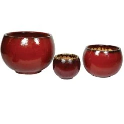 Glorious Bowl - Oxblood - D58H41 Cm [pallet] -Planten Winkel 1950113823