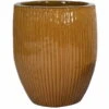 Portly Tall Egg Rib - Honey - D50H60 Cm [pallet] -Planten Winkel 1954466388