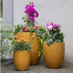 Portly Tall Egg Rib - Honey - D50H60 Cm [pallet] -Planten Winkel 1954466391