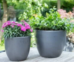 Glazed Hp001 - Matt Black - D60H52 Cm [pallet] -Planten Winkel 1954466571