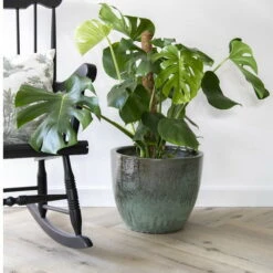 Glazed Egg - Moss Green - D60H52 Cm [pallet] -Planten Winkel 1954466730