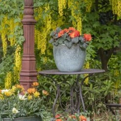 Glazed Egg - Moss Green - D60H52 Cm [pallet] -Planten Winkel 1954466733