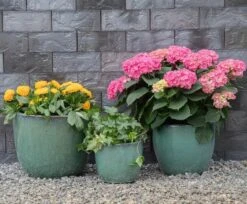 Glazed Egg - Celadon - D60H52 Cm [pallet] -Planten Winkel 1954466937