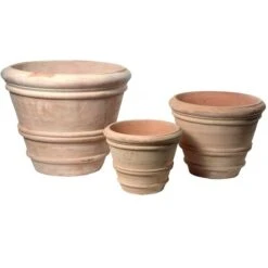 Whitewash - Coni - D62H50 Cm [pallet] -Planten Winkel 1954497174