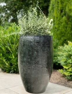 Thom Hoog - Ocean - D62H88 Cm [pallet] -Planten Winkel 1956173535