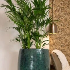 Thom Hoog - Ocean - D30H49 Cm -Planten Winkel 1956191067