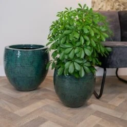 Thom - Ocean - D40H37 Cm -Planten Winkel 1956201741