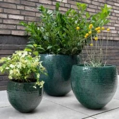 Thom - Ocean - D40H37 Cm -Planten Winkel 1956201747