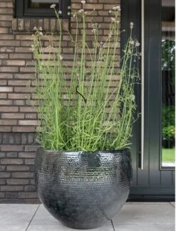 Thom - Black - D72H56 Cm [pallet] -Planten Winkel 1956203253