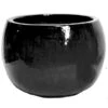 Glazed Bowl - Shiny Black - D53H38 Cm [pallet] -Planten Winkel 1956204609