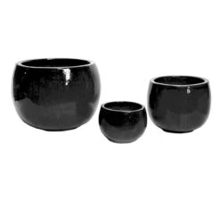 Glazed Bowl - Shiny Black - D53H38 Cm [pallet] -Planten Winkel 1956204612