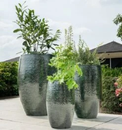 Thom Hoog - Black - D30H49 Cm -Planten Winkel 1956742533