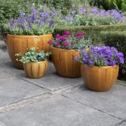 Portly Egg Fishbone - Honey - D21H14 Cm -Planten Winkel 1956743343