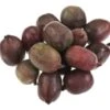 Actinidia Arguta Ken's Red 2 Ltr