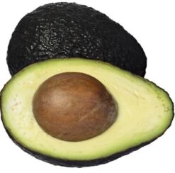 Persea Americana - Totale Hoogte 100-120 Cm - Pot Ø 18 Cm