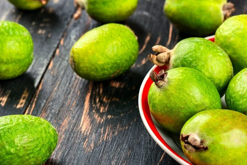 Acca Sellowiana - Pot Ø 24 Cm 5 Acca Sellowiana - Pot Ø 24 Cm - Afbeelding 3