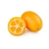 Citrus Kumquat - Stam 15-25 Cm - Totale Hoogte 40-50 Cm - Pot Ø 15 Cm 1 Citrus Kumquat - Stam 15-25 Cm - Totale Hoogte 40-50 Cm - Pot Ø 15 Cm -Planten Winkel 1991670210