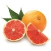 Citrus Paradisi - Stam 30-40 Cm - Totale Hoogte 80-100 Cm - Pot Ø 24 Cm -Planten Winkel 1991670366