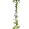 Wisteria Sinensis Totale Hoogte 160+ Cm - 3 Ltr Pot -Planten Winkel 1992649302
